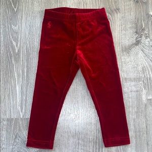 Polo velvet leggings